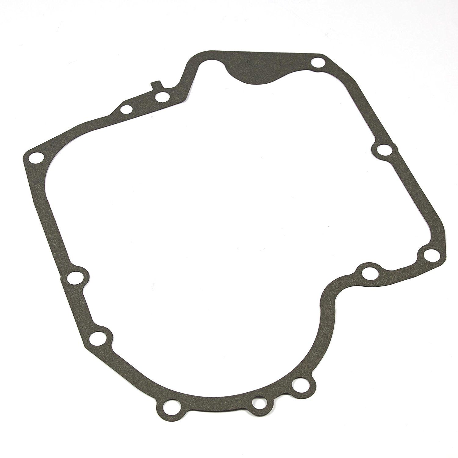 Packning Briggs&Stratton 697110; 1 st.