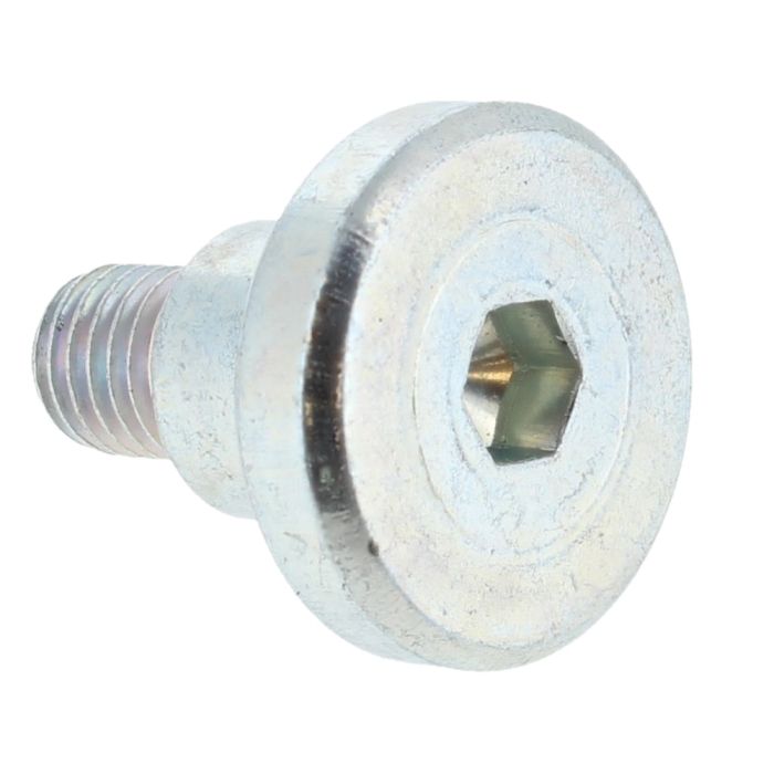 Skruv Bosch 160343507R