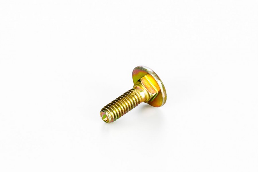 Skruv MTD 710-04998