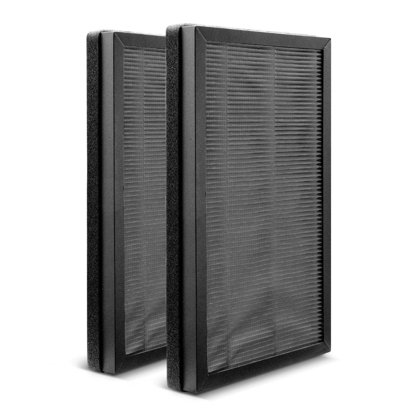 Filter Karcher AF 20; 2 st.