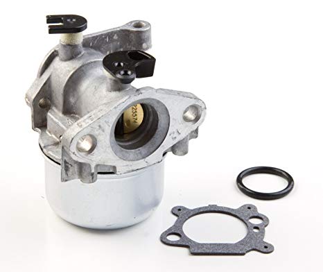 Förgasare Briggs&Stratton 799871